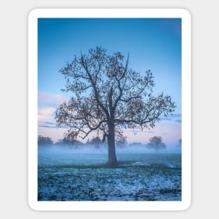 Frosty Winter Tree Sticker